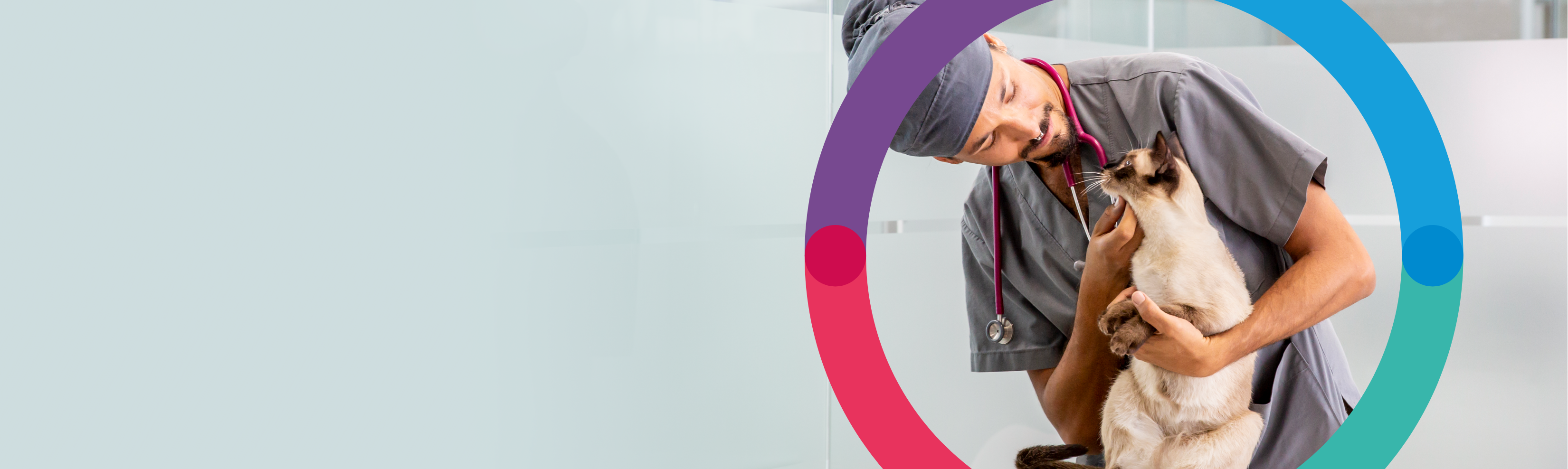 plus cat vets header