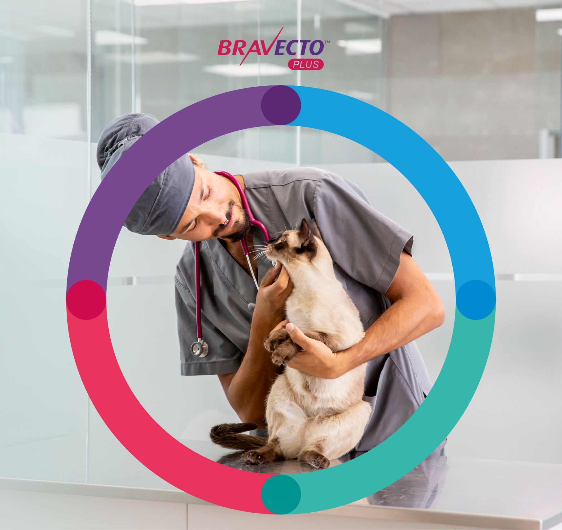 plus cats header mobile